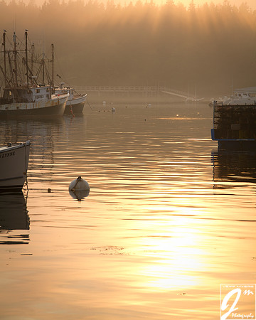 Foggy Sunset