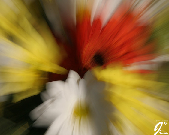 Zooming Flowers