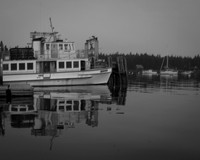 Elizabeth Ann Reflections #2